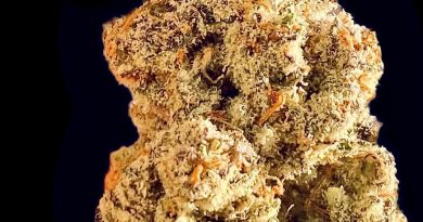 oz kush x mac stomper by beleaf cannabis strain review by okcannacritic
