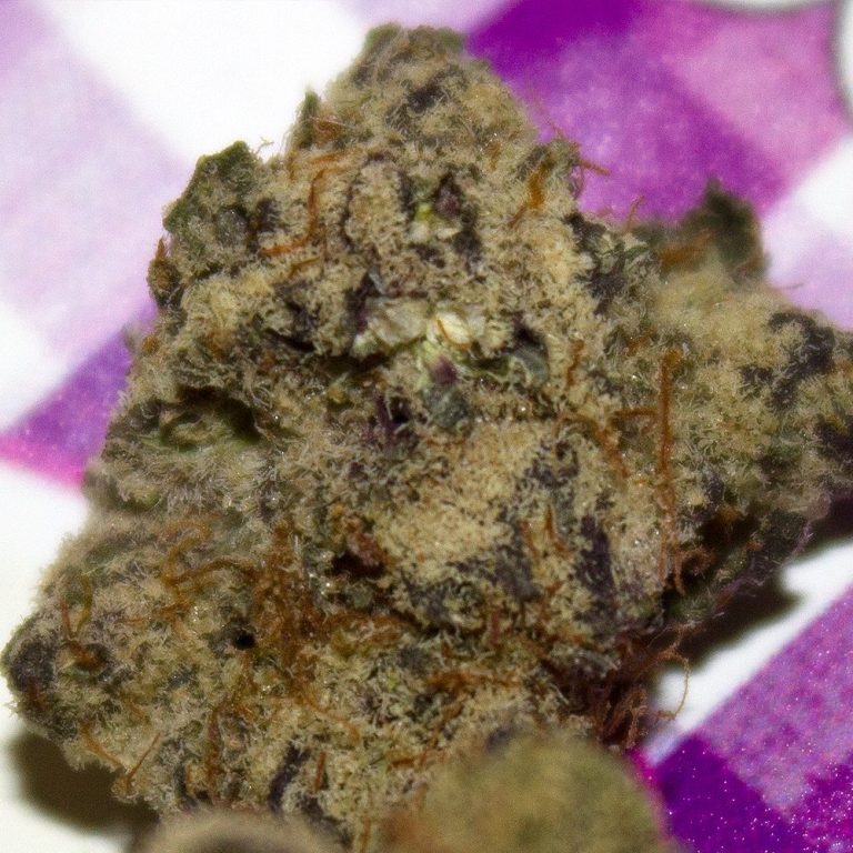 Strain Review Peanut Butter And Jelly By FR