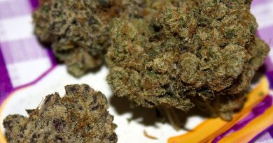 peanut butter and jelly by f.r.i.t.z strain review by bigwhiteash