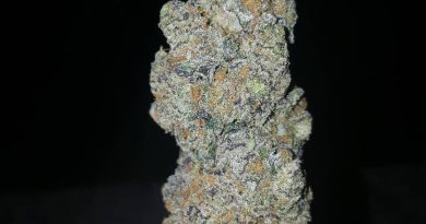 pink sandy by the tenco strain review by dc_ent