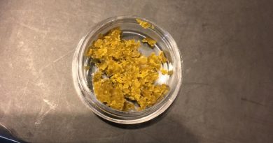 platinum gsc wax by slab mechanix concentrate review by 502strainsheet