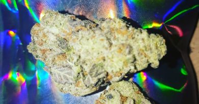 plum breath strain review by hippie_budz