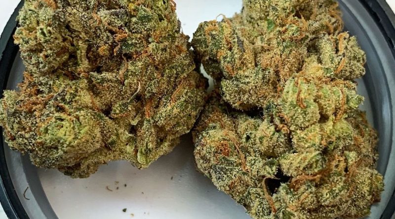 plush cake by big al's exotics strain review by budfinderdc