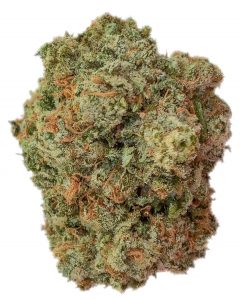 pride by kush rush exotics strain review by budfinderdc