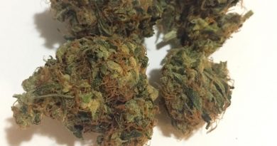 purple chem by cannasseur chicago strain review by fullspectrumconnoisseur 2