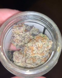 purple punch from district florist strain review by budfinderdc 2