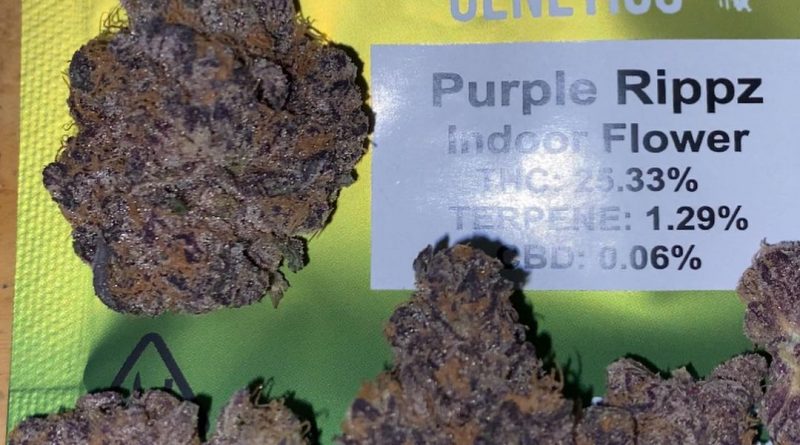 purple rippz by seed junky genetics strain review by trunorcal420 3