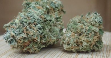 rainbow driver by farmer in the hole strain review by the_originalcannaseur