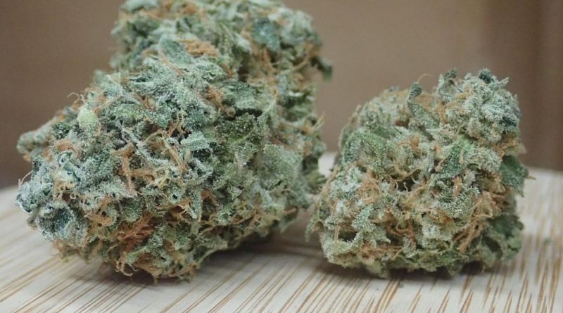 rainbow driver by farmer in the hole strain review by the_originalcannaseur