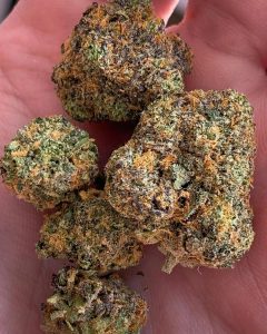 rainbow sherbert #11 by deep east strain review by budfinderdc 2