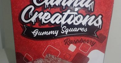 raspberry gummy squares by canna creations edible review by the_originalcannaseur