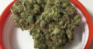 red line haze by cresco labs strain review by fullspectrumconnoisseur