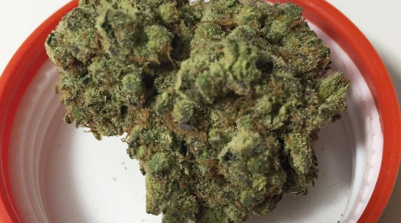 red line haze by cresco labs strain review by fullspectrumconnoisseur