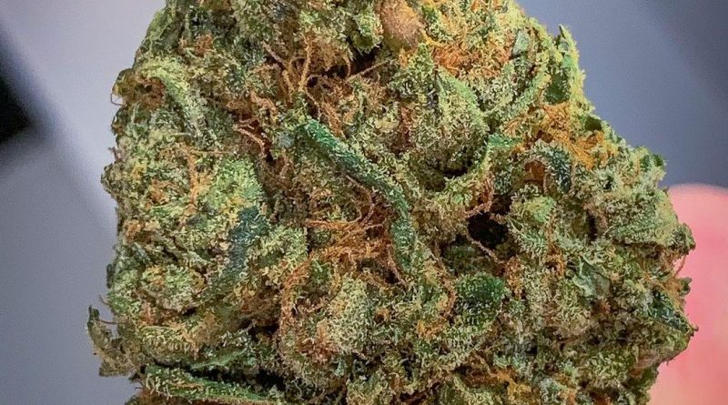 righteous og by entourage company strain review by budfinderdc