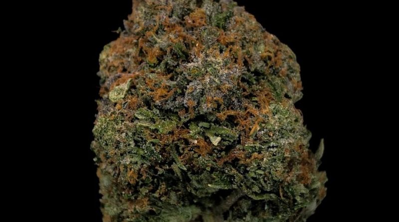 rock bubba strain review by cannabisseur604