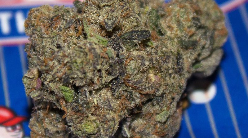 rookie of the year by f.r.i.t.z strain review by bigwhiteash