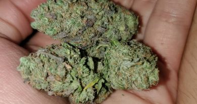 rug burn og by rare dankness seeds strain review by _scarletts_strains_