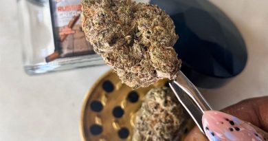 russian cream by loganlocal strain review by upinsmokesession