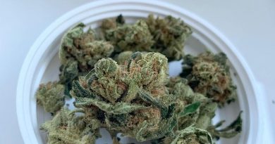 serratus by tantalus labs strain review by brandiisbaked