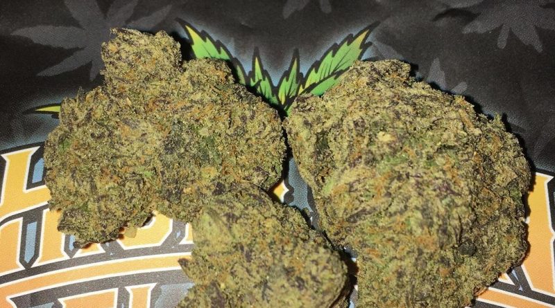 sherbanger #22 by norcals gardens strain review by boofbusters420