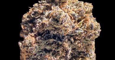 sherbert punch by eclipse pharms strain review by okcannacritic