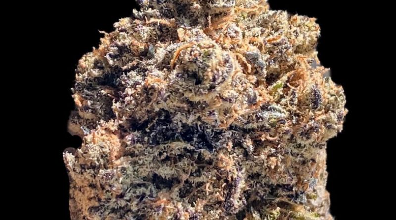 sherbert punch by eclipse pharms strain review by okcannacritic