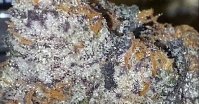 slurri crasher by floracal farms strain review by trunorcal420 2