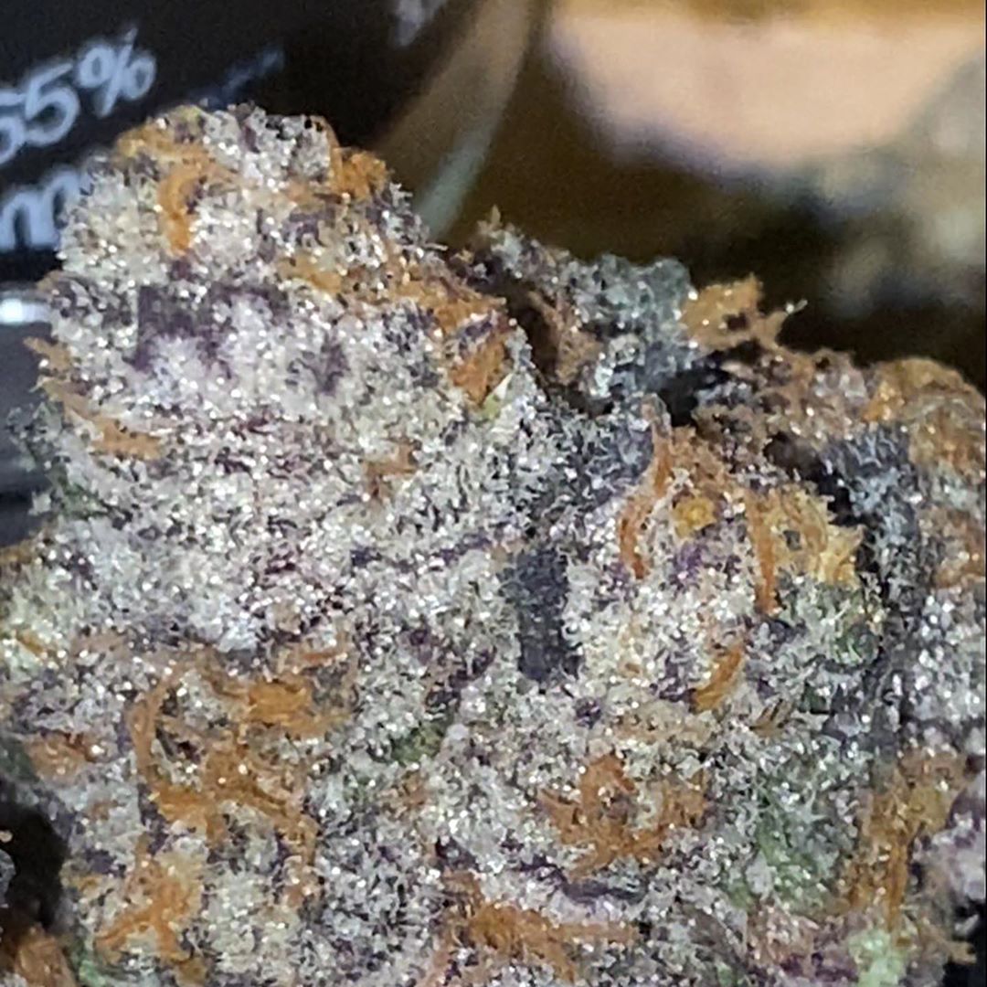 Strain Review: Slurri Crasher by FloraCal Farms - The Highest Critic