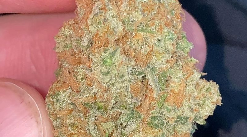 sour strawberry by indico strain review by no.mids
