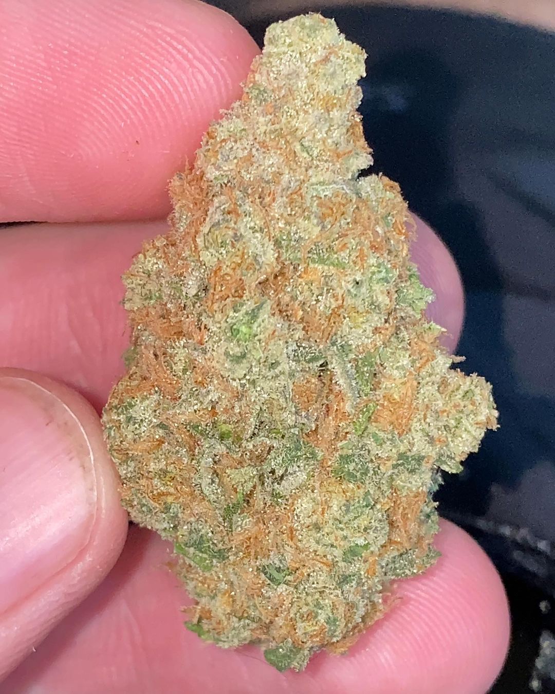 Strain Review: Sour Strawberry By Inidico - The Highest Critic