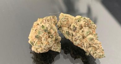 space cake by bodhi seeds strain review by the_originalcannaseur