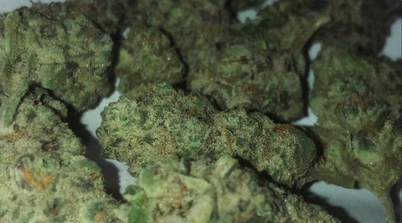 spearmint style by clearwater buds strain review by extractedbyzack