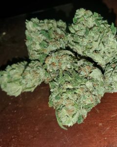 spec ops by 303 seeds strain review by _scarletts_strains_