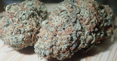 stardwag from the cali club tenerife strain review by the_originalcannaseur