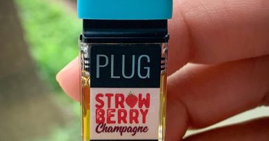 strawberry champagne plug by plugplay vapereview by budfinderdc