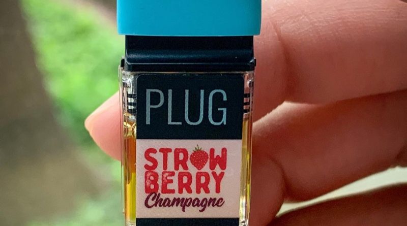 strawberry champagne plug by plugplay vapereview by budfinderdc