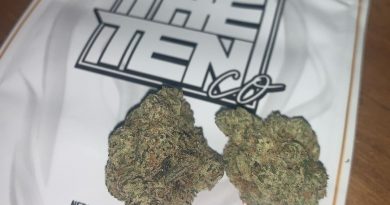 strudle from the cali club tenerife strain review by the_originalcannaseur