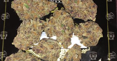 super tropicana by lionboldt farms strain review by boofbusters420