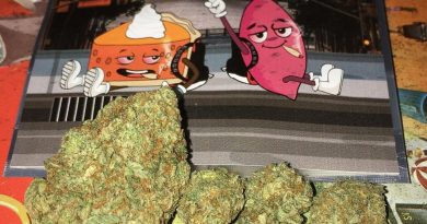 sweet potato pie by backpack boyz strain review by boofbusters420