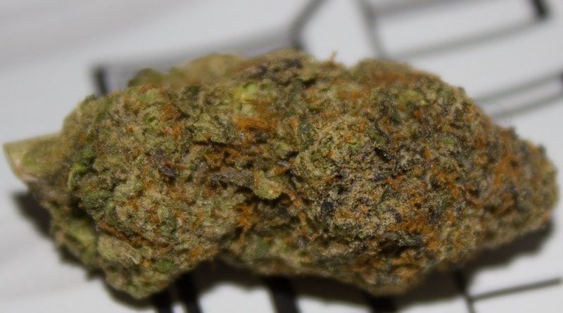 the naughty one by the tenco strain review by bigwhiteash