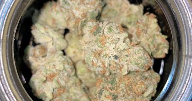 the sauce by veritas strain review by no.mids