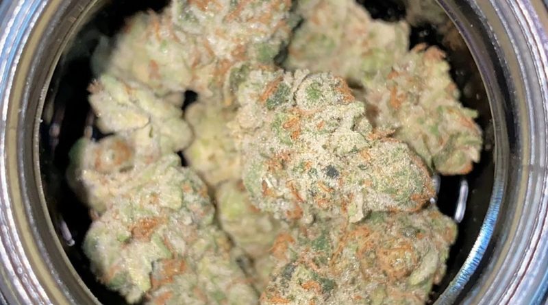 the sauce by veritas strain review by no.mids