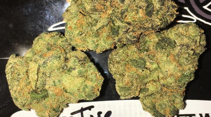 tire fire by west coast alchemy strain review by boofbusters420