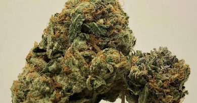 tom ford pink strain review by cannabisseur604