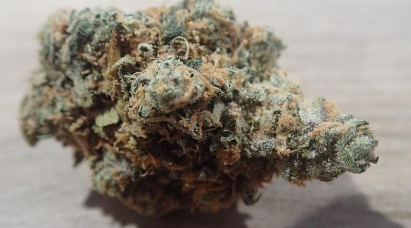 triangle kush from the cali club tenerife strain review by the_originalcannaseur