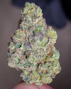triple scoop gelato by gas no brakes strain review by budfinderdc 2