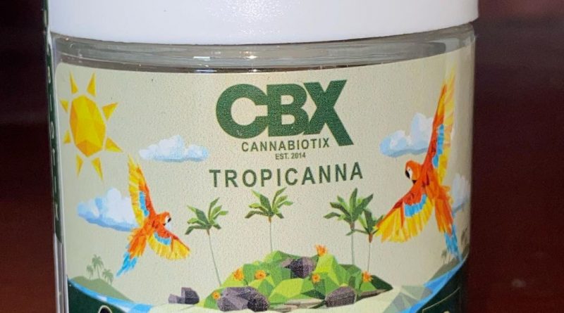 tropicanna by cannabiotix strain review by qsexoticreviews