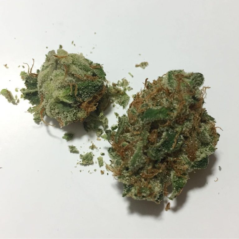 Strain Review Turbo Lemon Cake by Revolution Cannabis