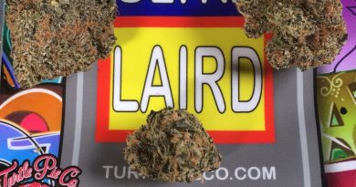 ultra laird by turtle pie co. strain review by boofbusters420