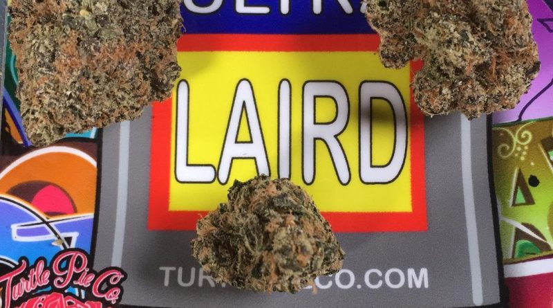 ultra laird by turtle pie co. strain review by boofbusters420